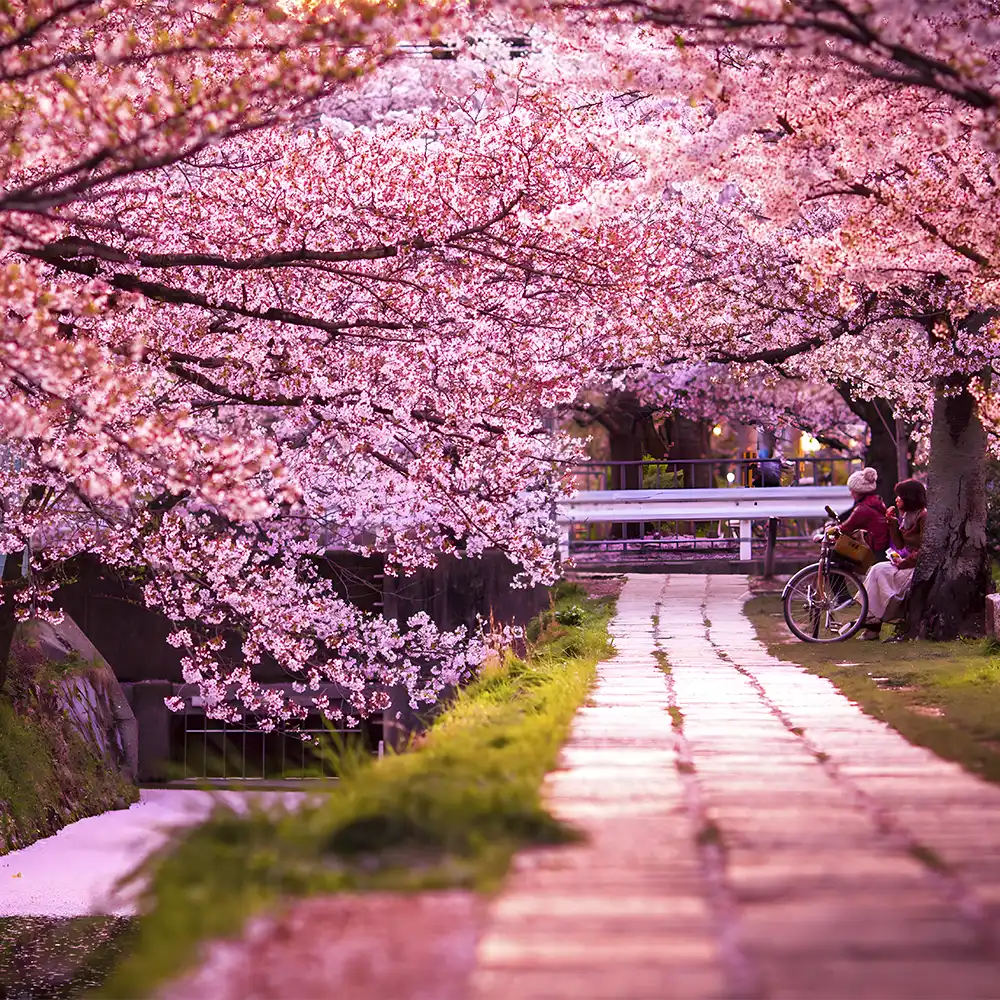 Tokyo Japan