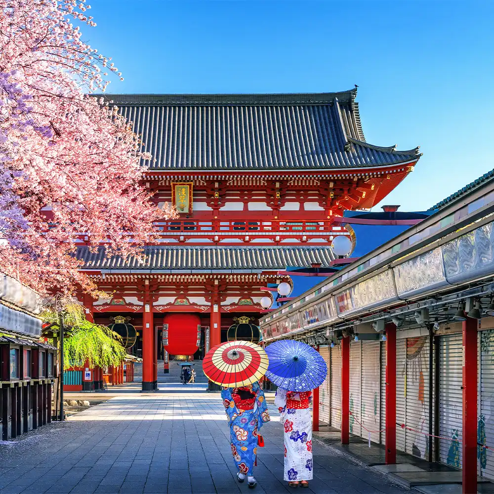 Japan Private Tours