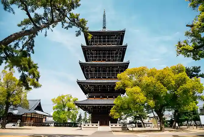 Shizuoka